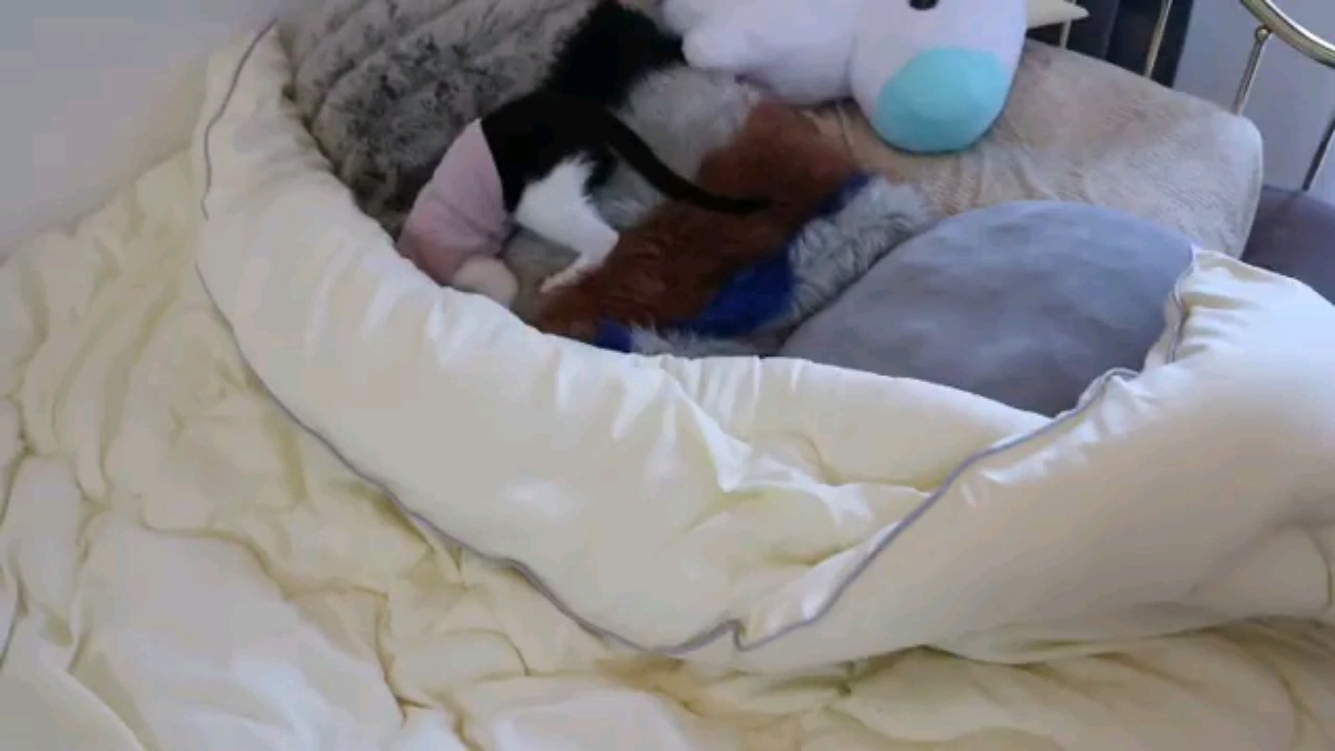 投稿動画サムネイル