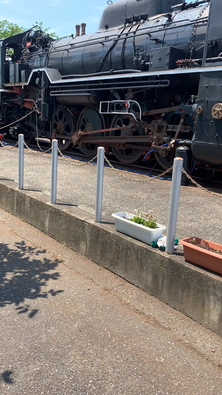 投稿動画サムネイル