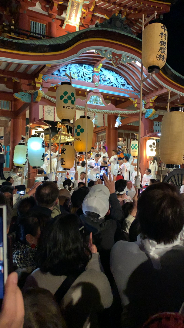 投稿動画サムネイル