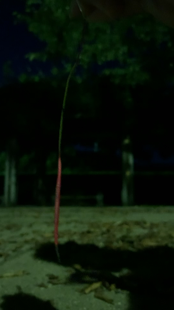 投稿動画サムネイル