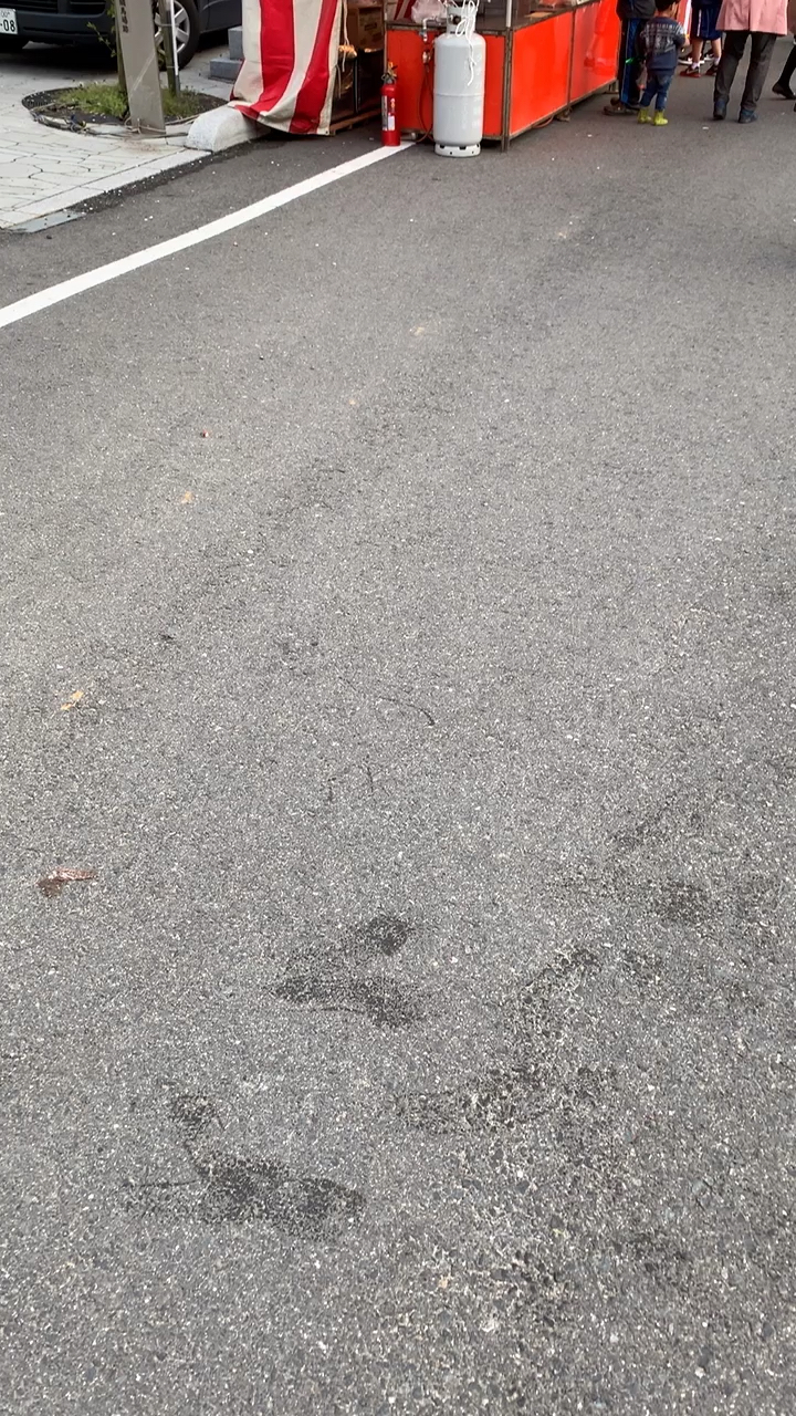 投稿動画サムネイル