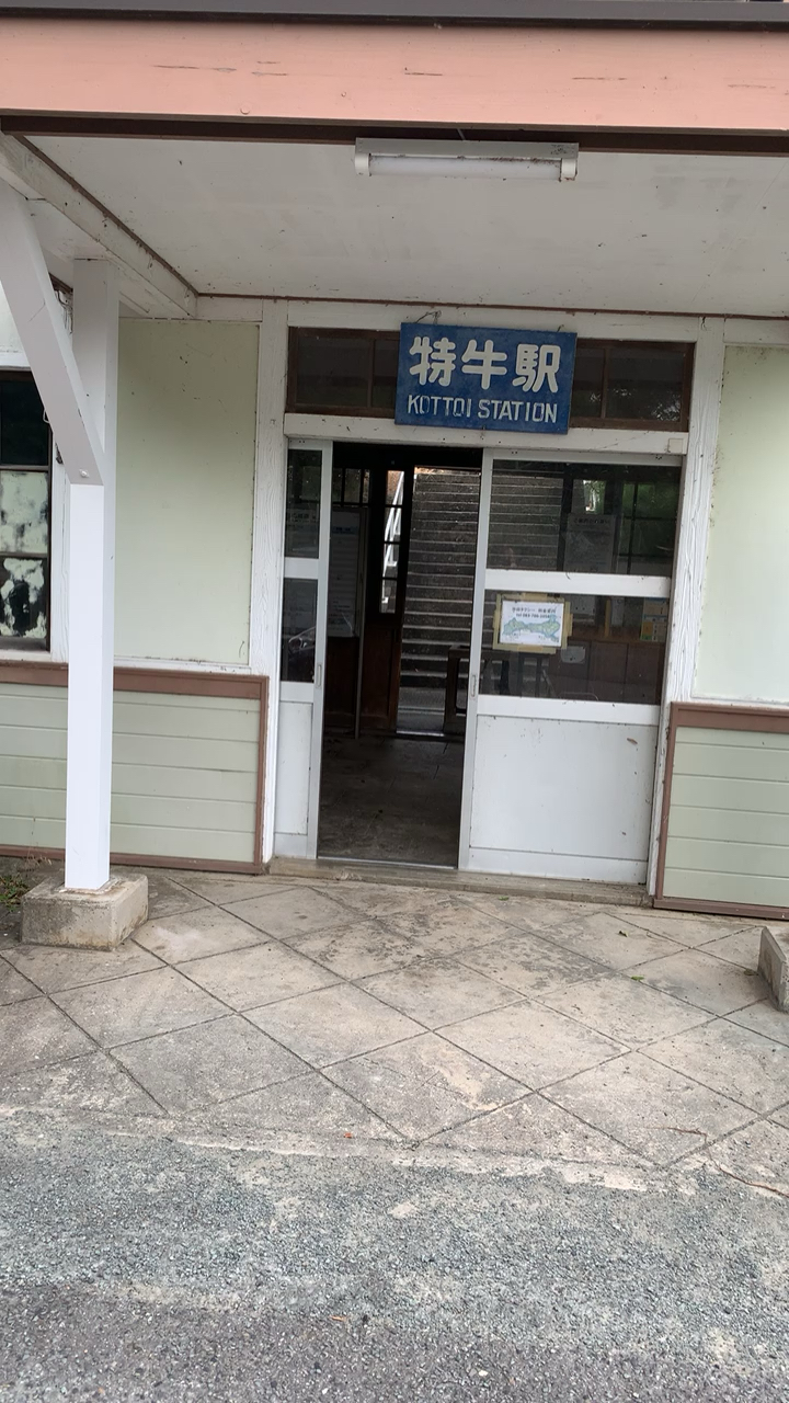 投稿動画サムネイル