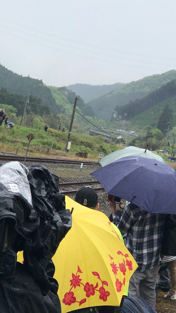 投稿動画サムネイル