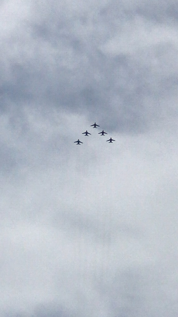 投稿動画サムネイル