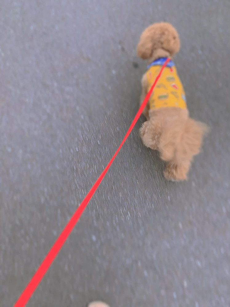 投稿動画サムネイル