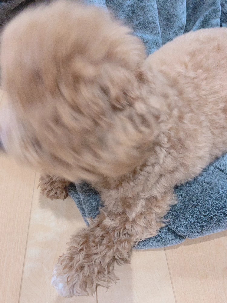 投稿動画サムネイル