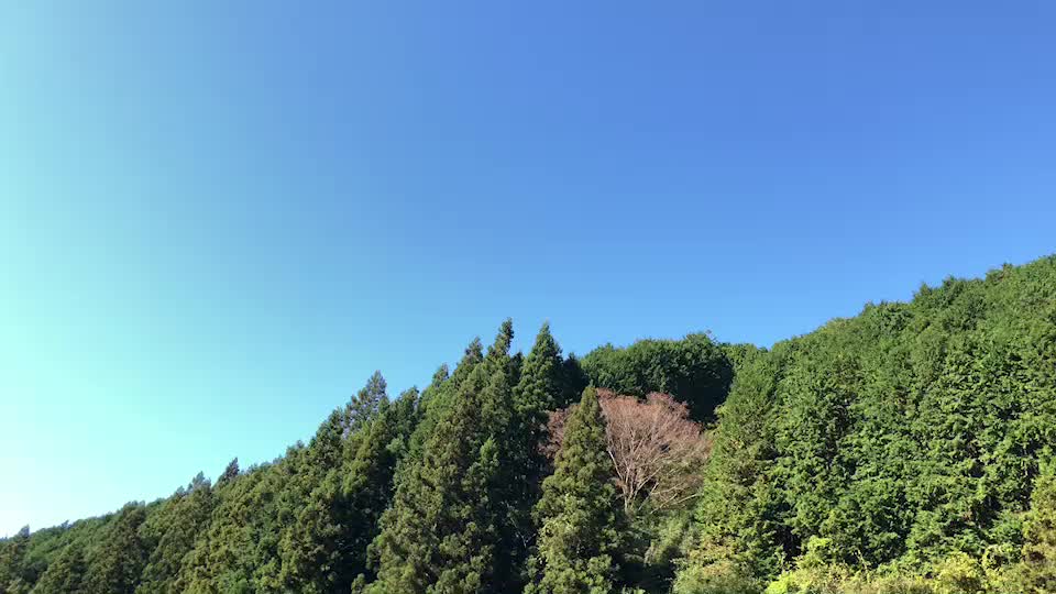 投稿動画サムネイル