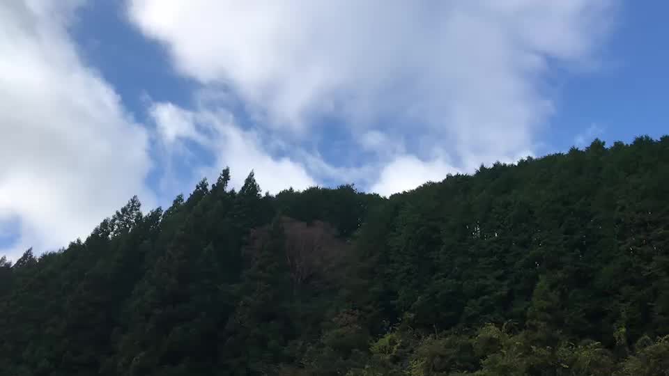 投稿動画サムネイル