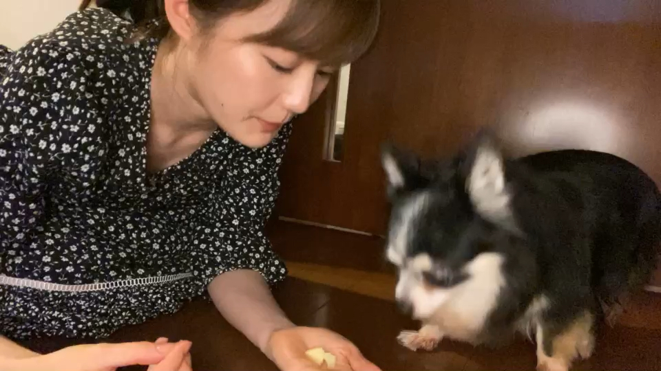 投稿動画サムネイル