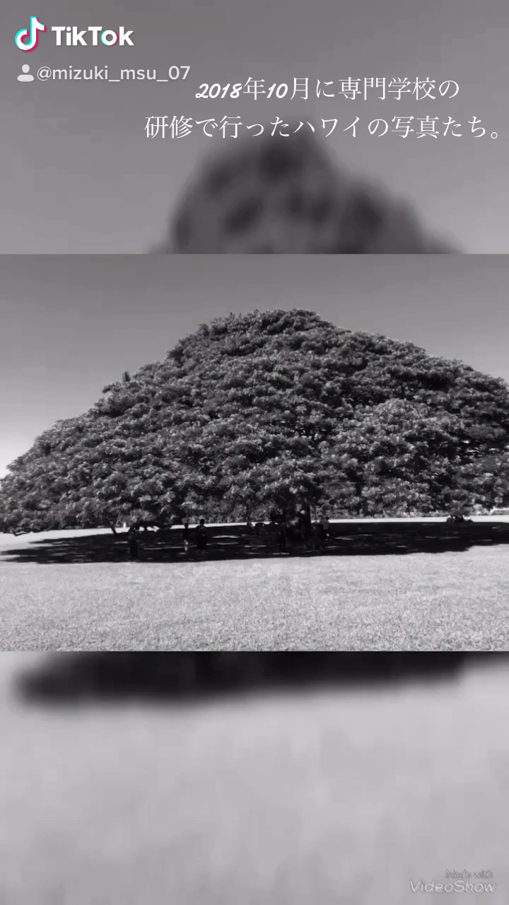 投稿動画サムネイル