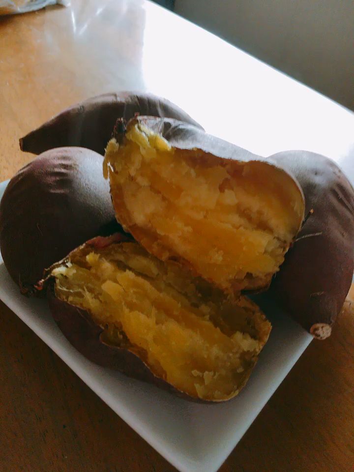 投稿動画サムネイル