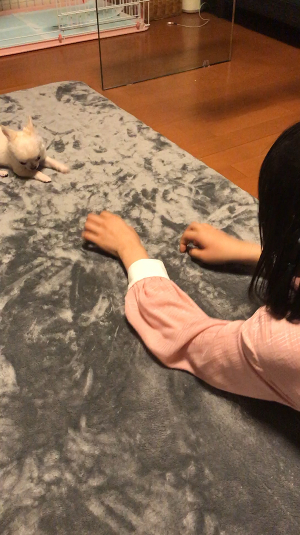 投稿動画サムネイル