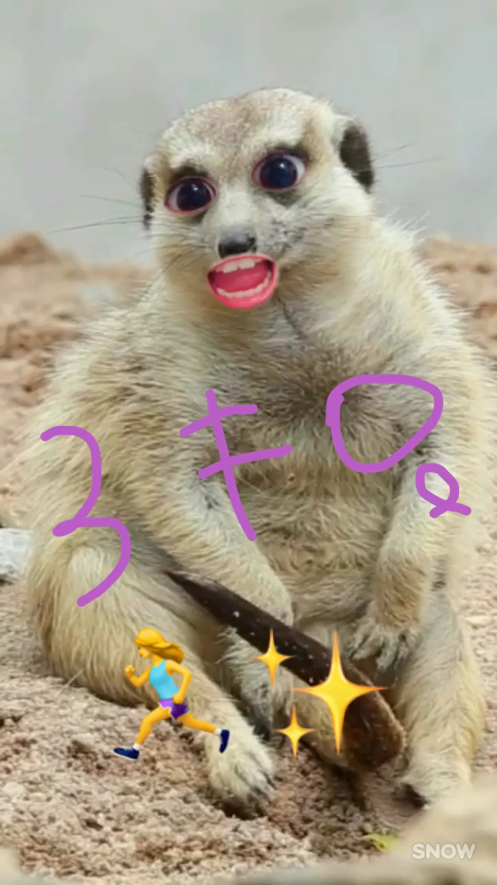 投稿動画サムネイル