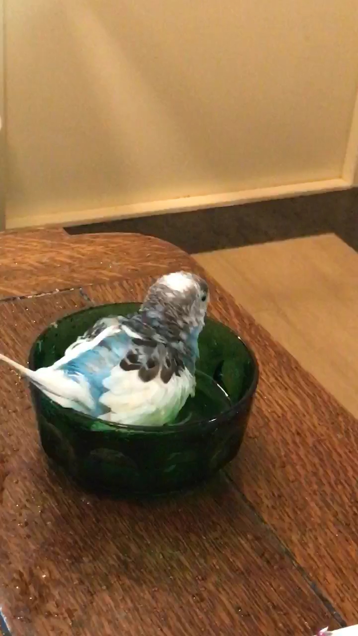 投稿動画サムネイル