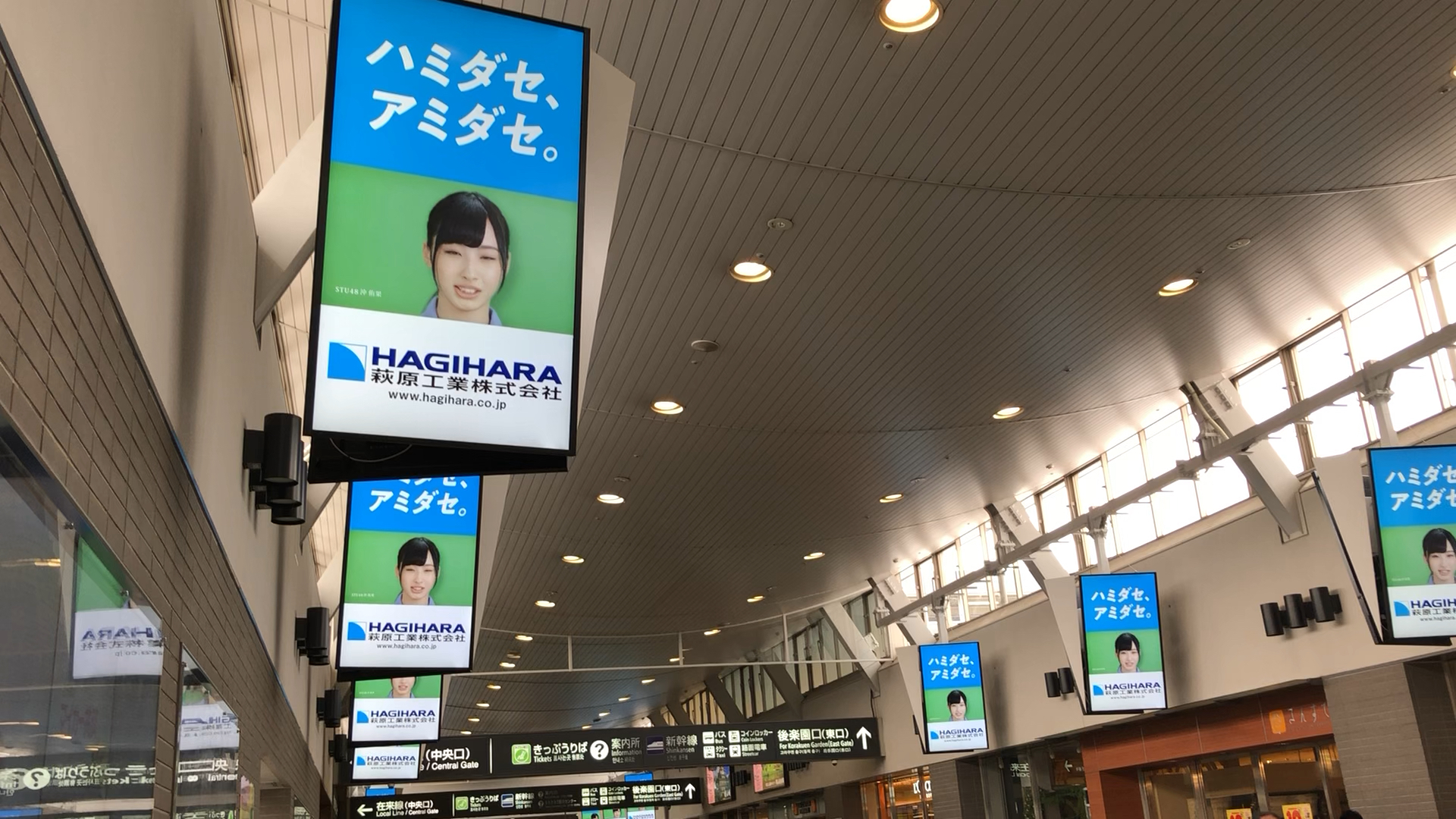 投稿動画サムネイル