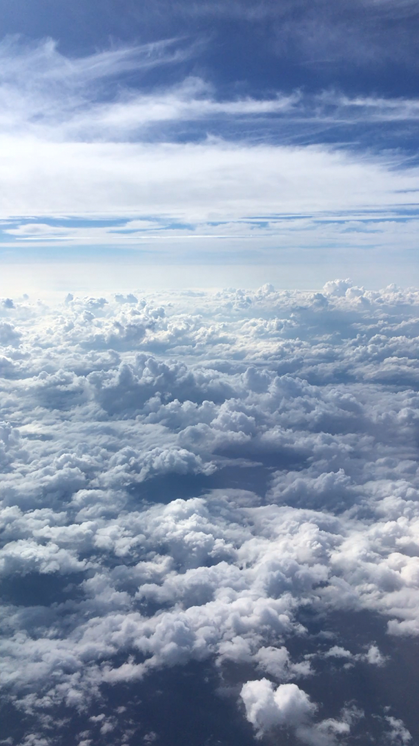 投稿動画サムネイル