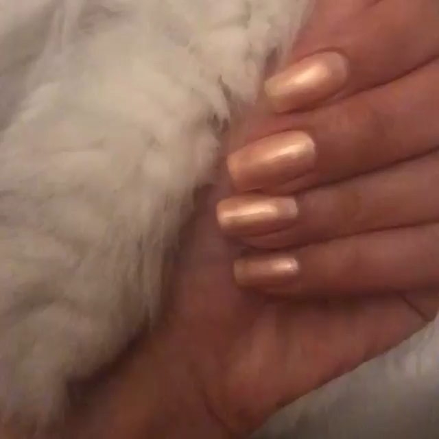 投稿動画サムネイル