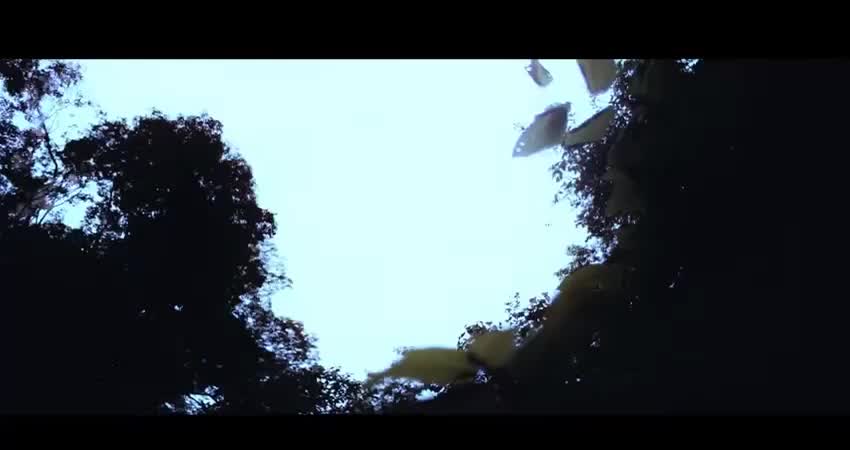 投稿動画サムネイル