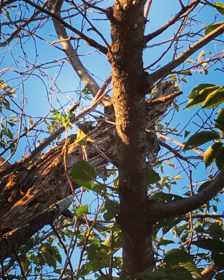 投稿動画サムネイル