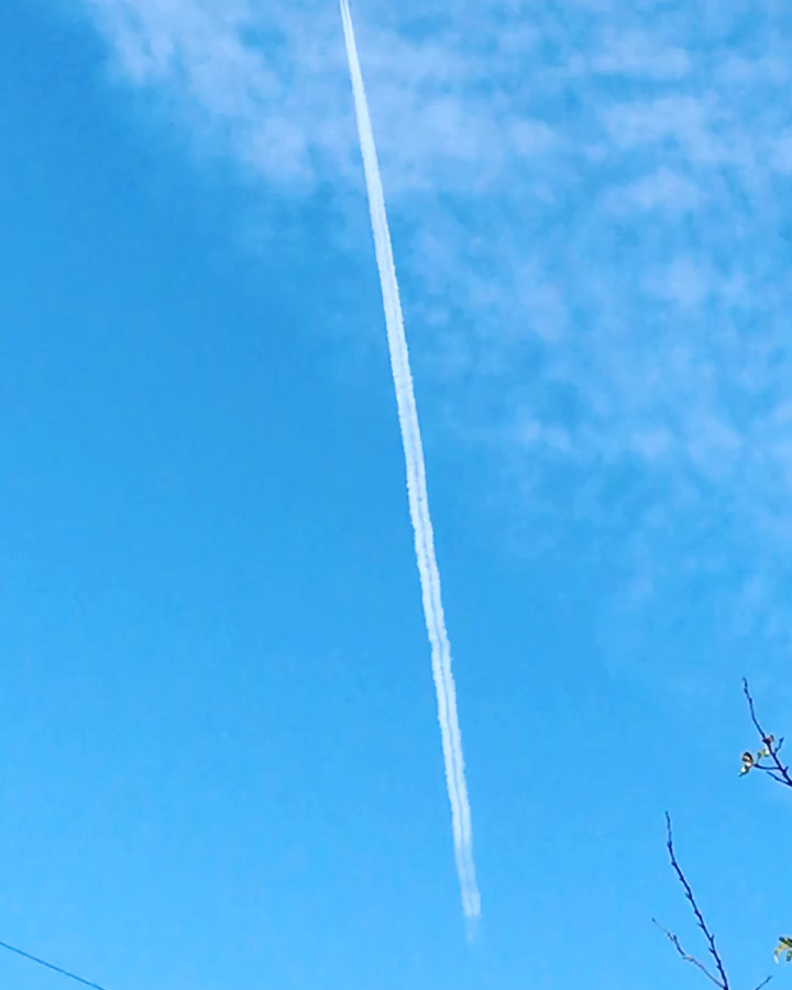 投稿動画サムネイル