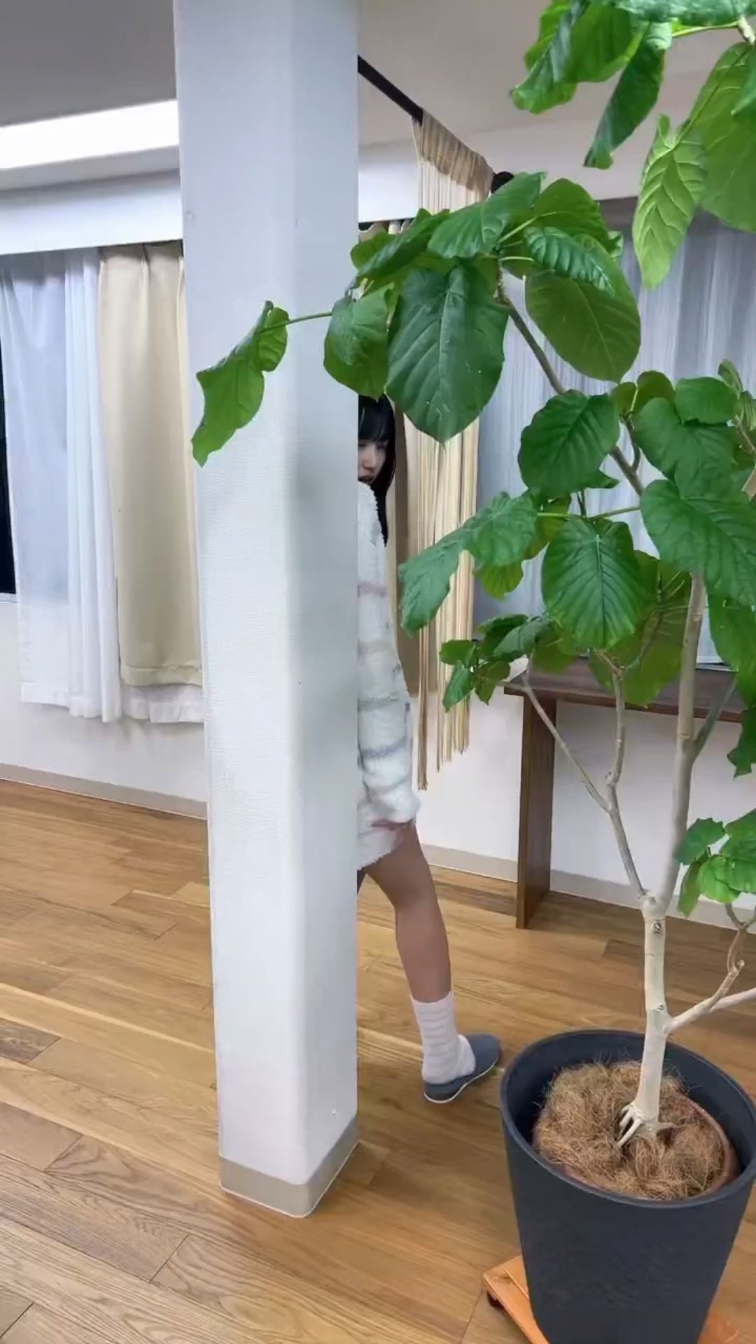 投稿動画サムネイル