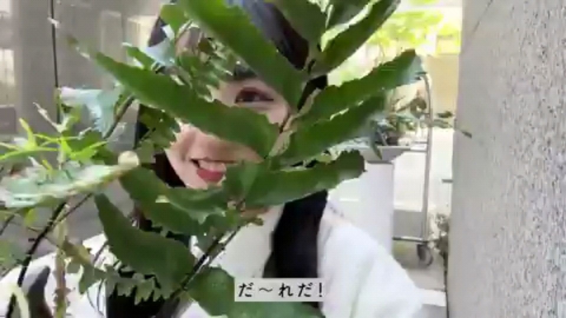 投稿動画サムネイル