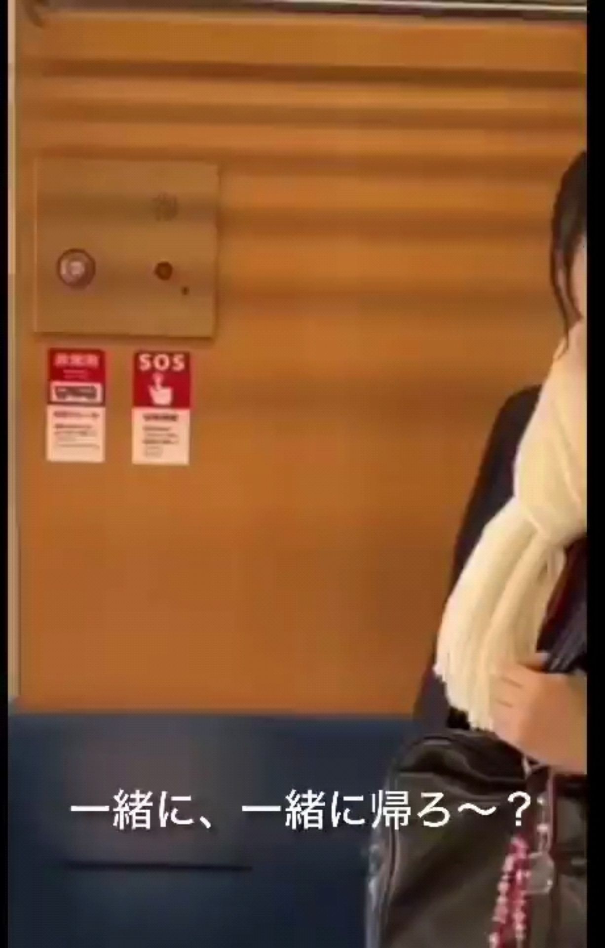 投稿動画サムネイル