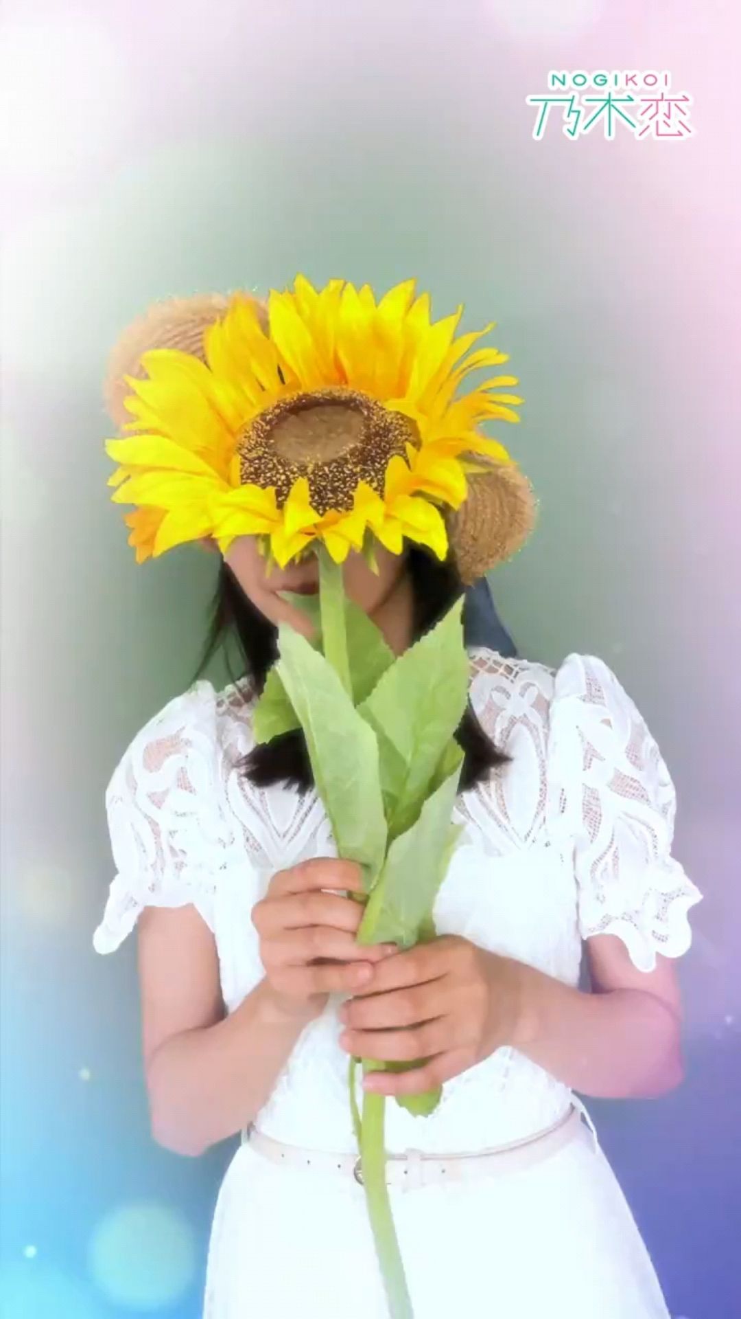 投稿動画サムネイル