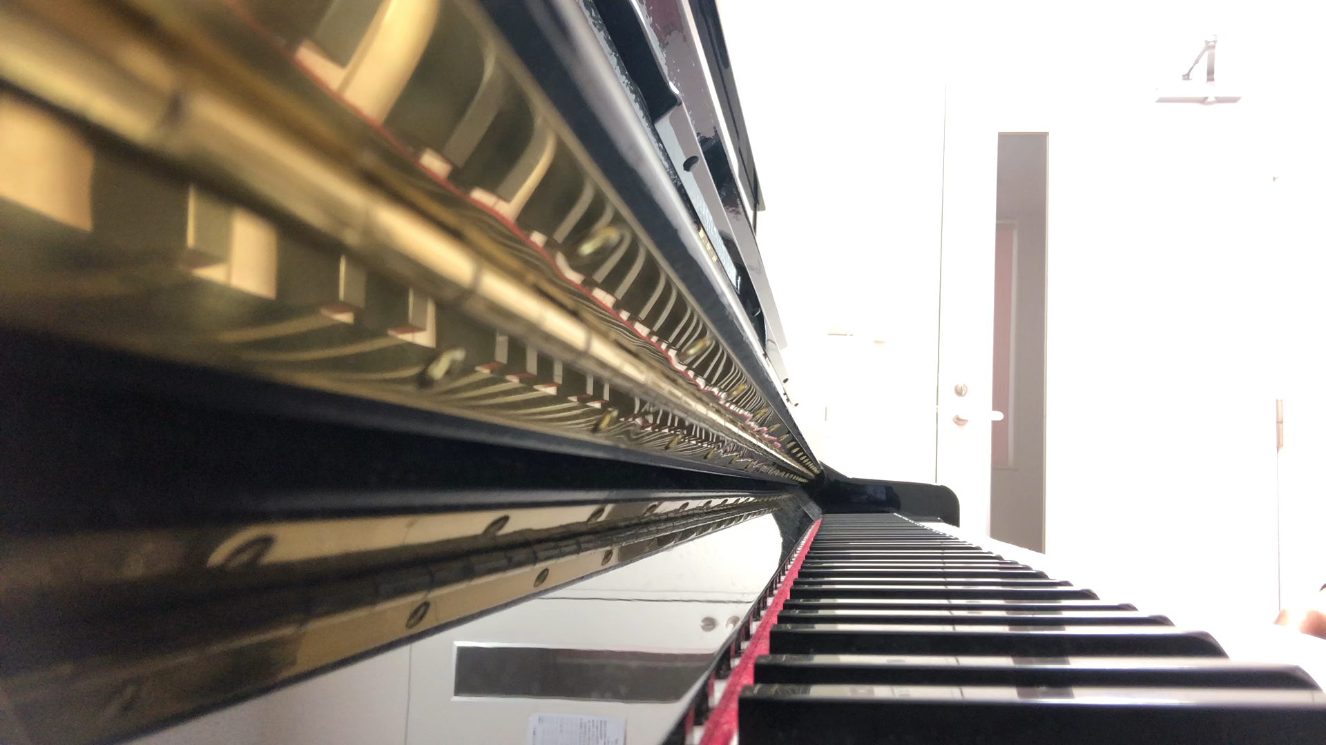 投稿動画サムネイル