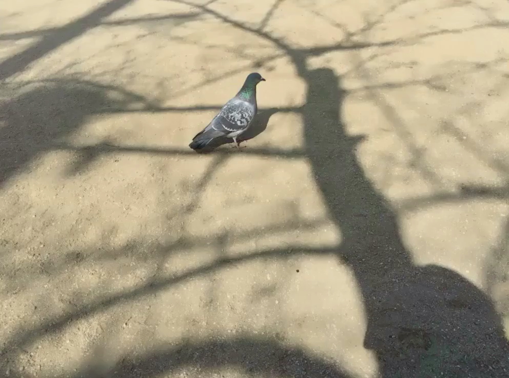 投稿動画サムネイル