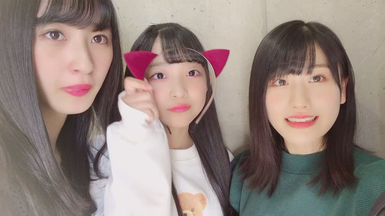 投稿動画サムネイル