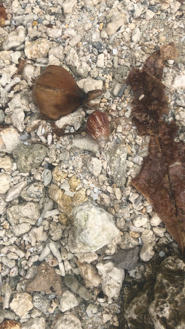 投稿動画サムネイル