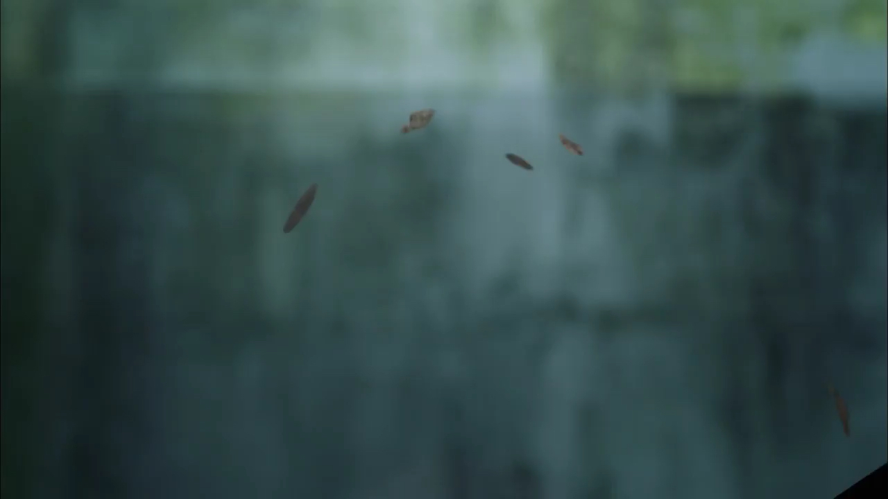 投稿動画サムネイル