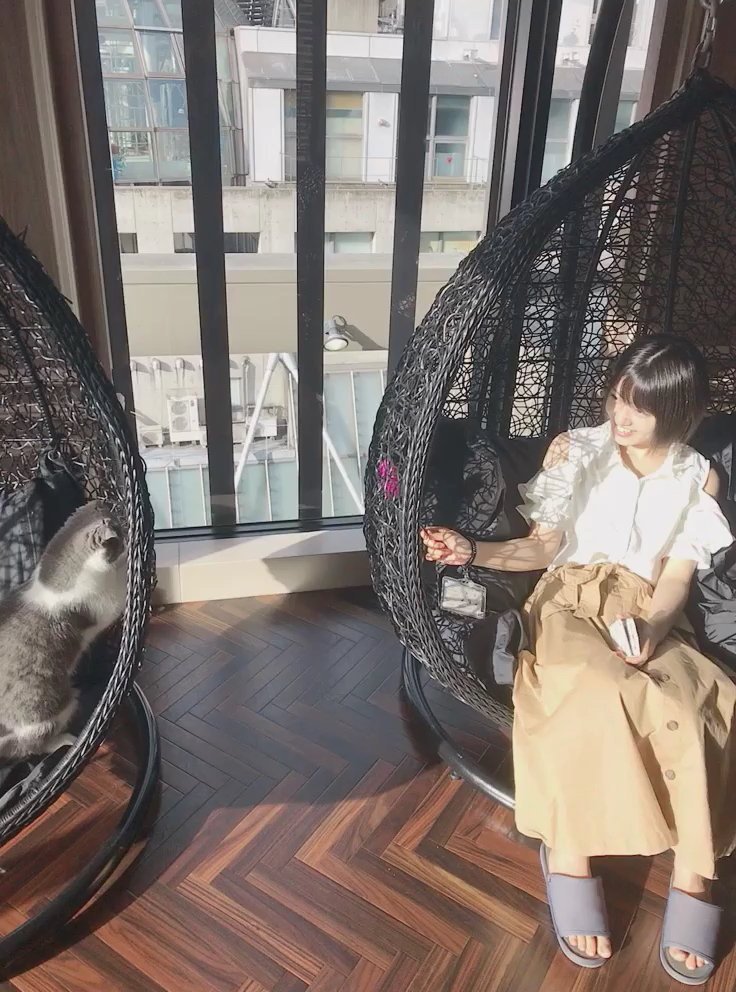 投稿動画サムネイル