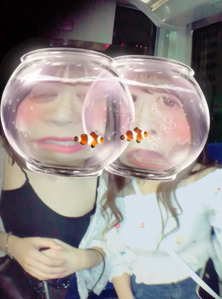 投稿動画サムネイル