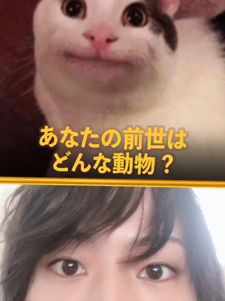 投稿動画サムネイル