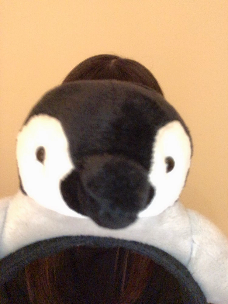 投稿動画サムネイル