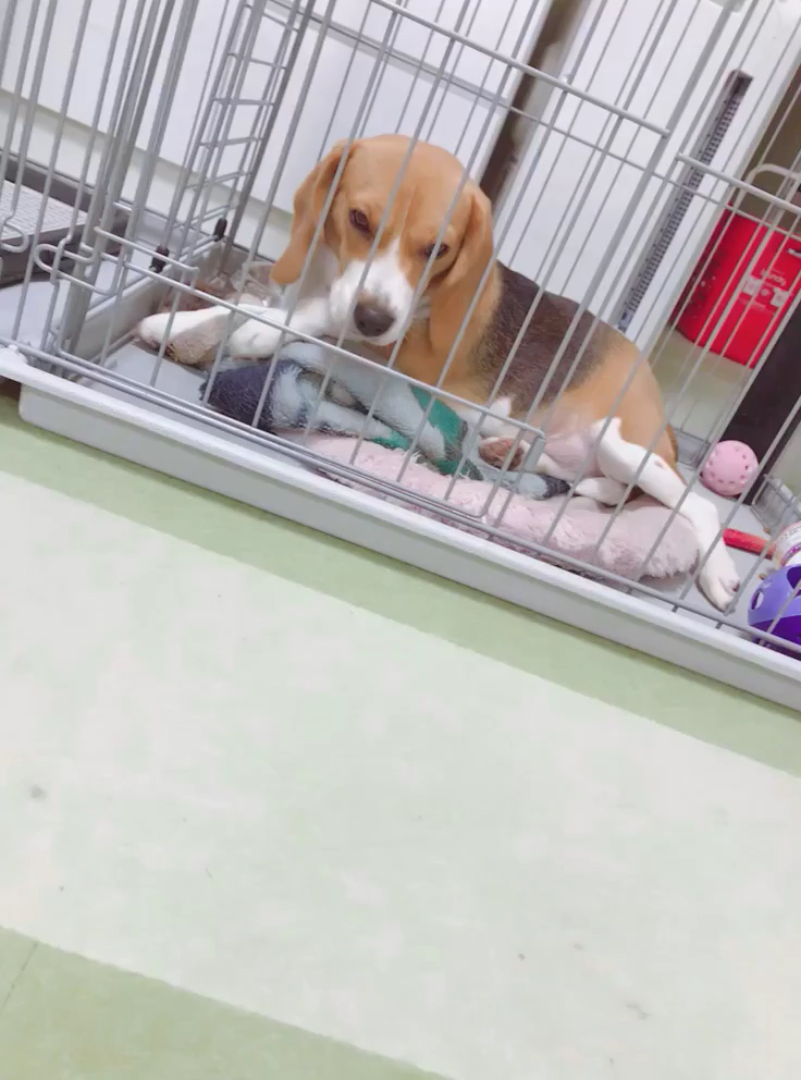 投稿動画サムネイル