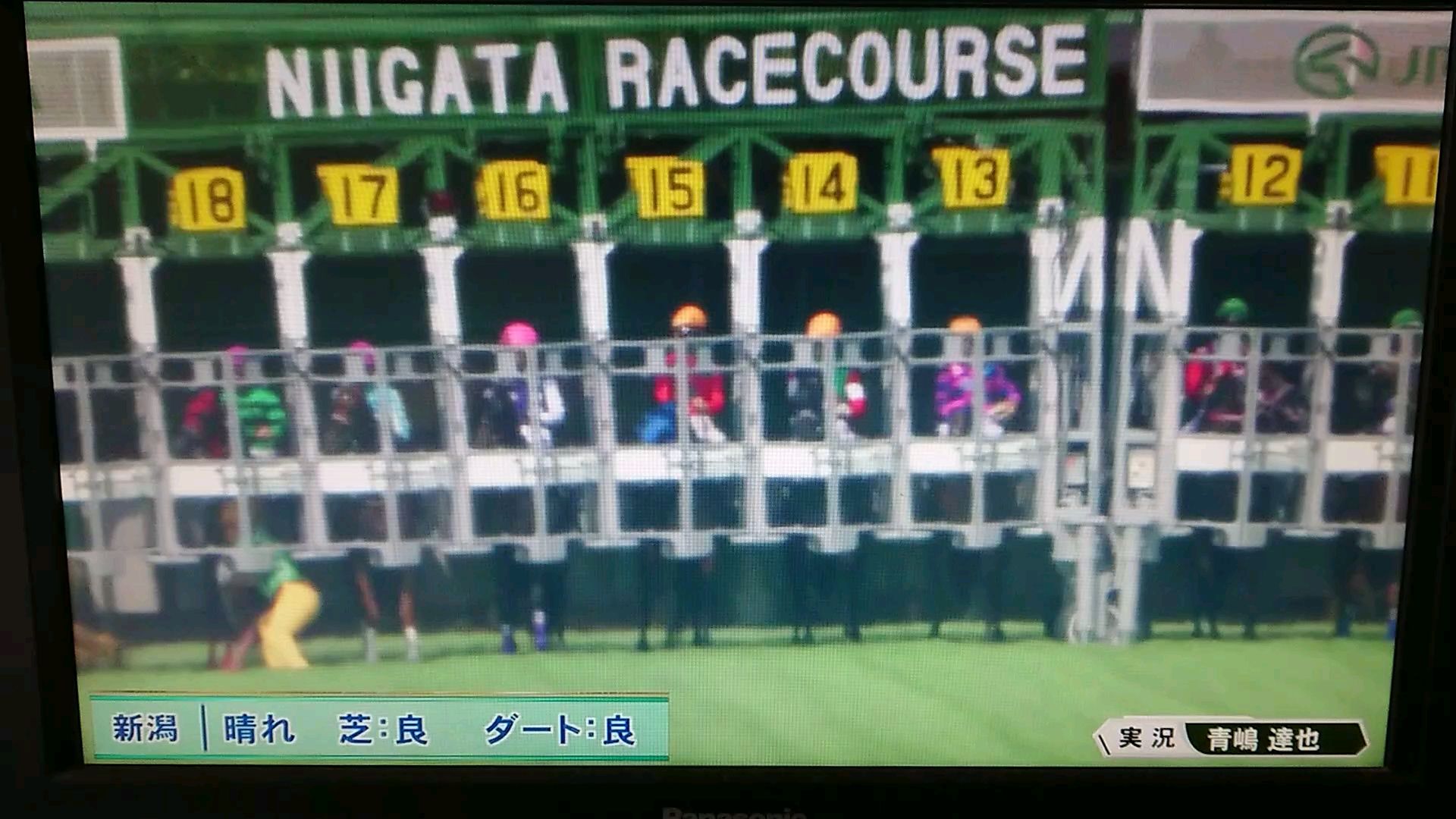 投稿動画サムネイル