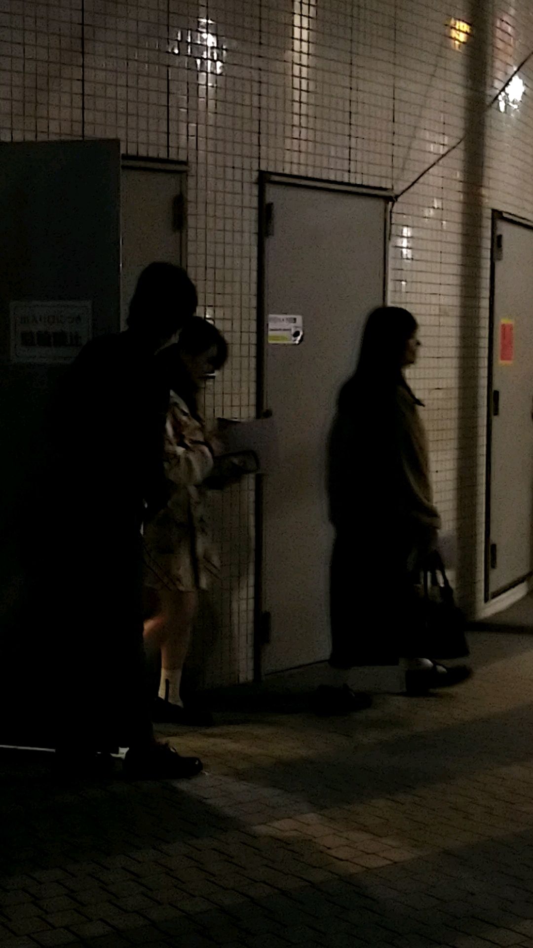 投稿動画サムネイル