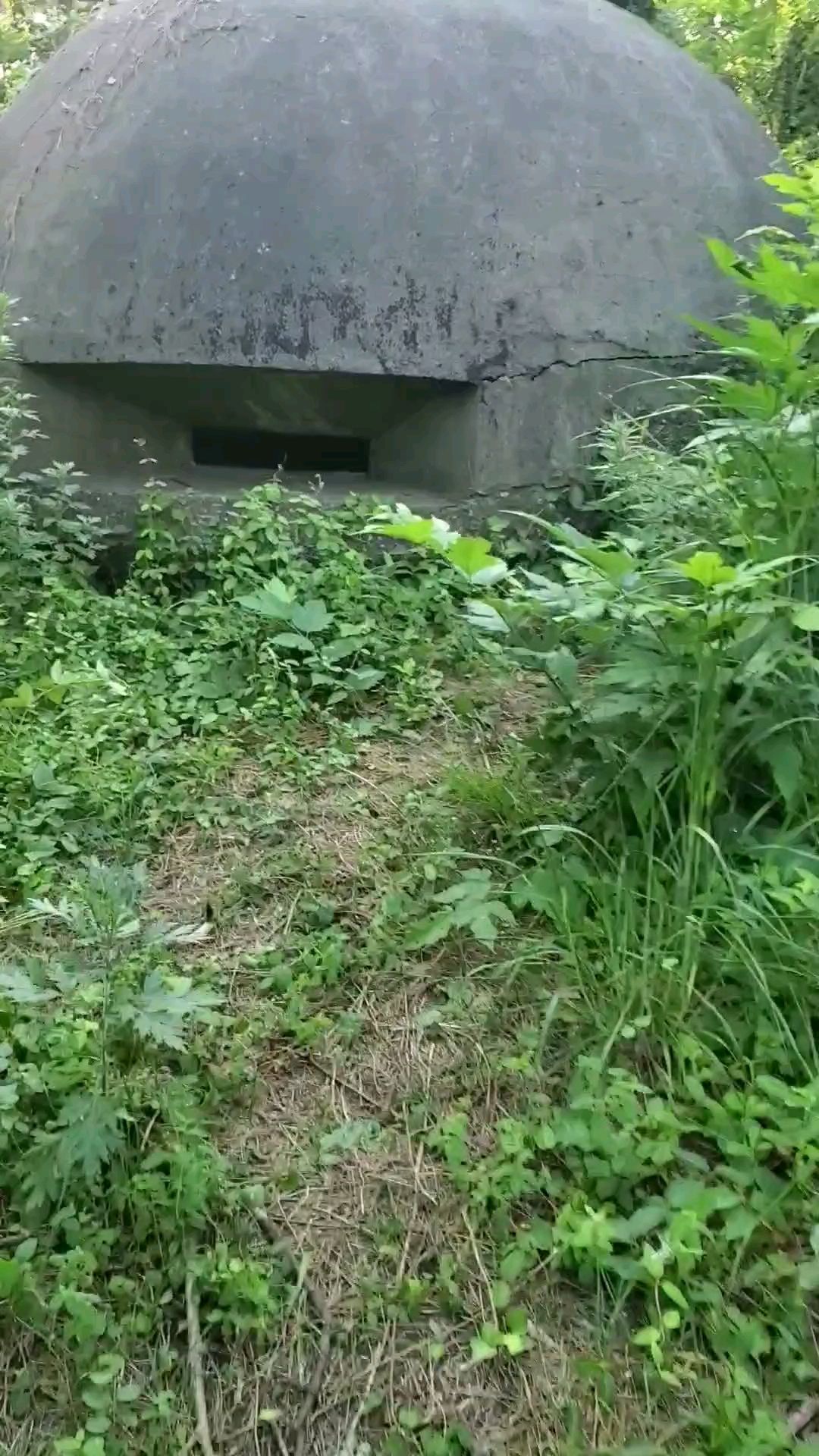 投稿動画サムネイル