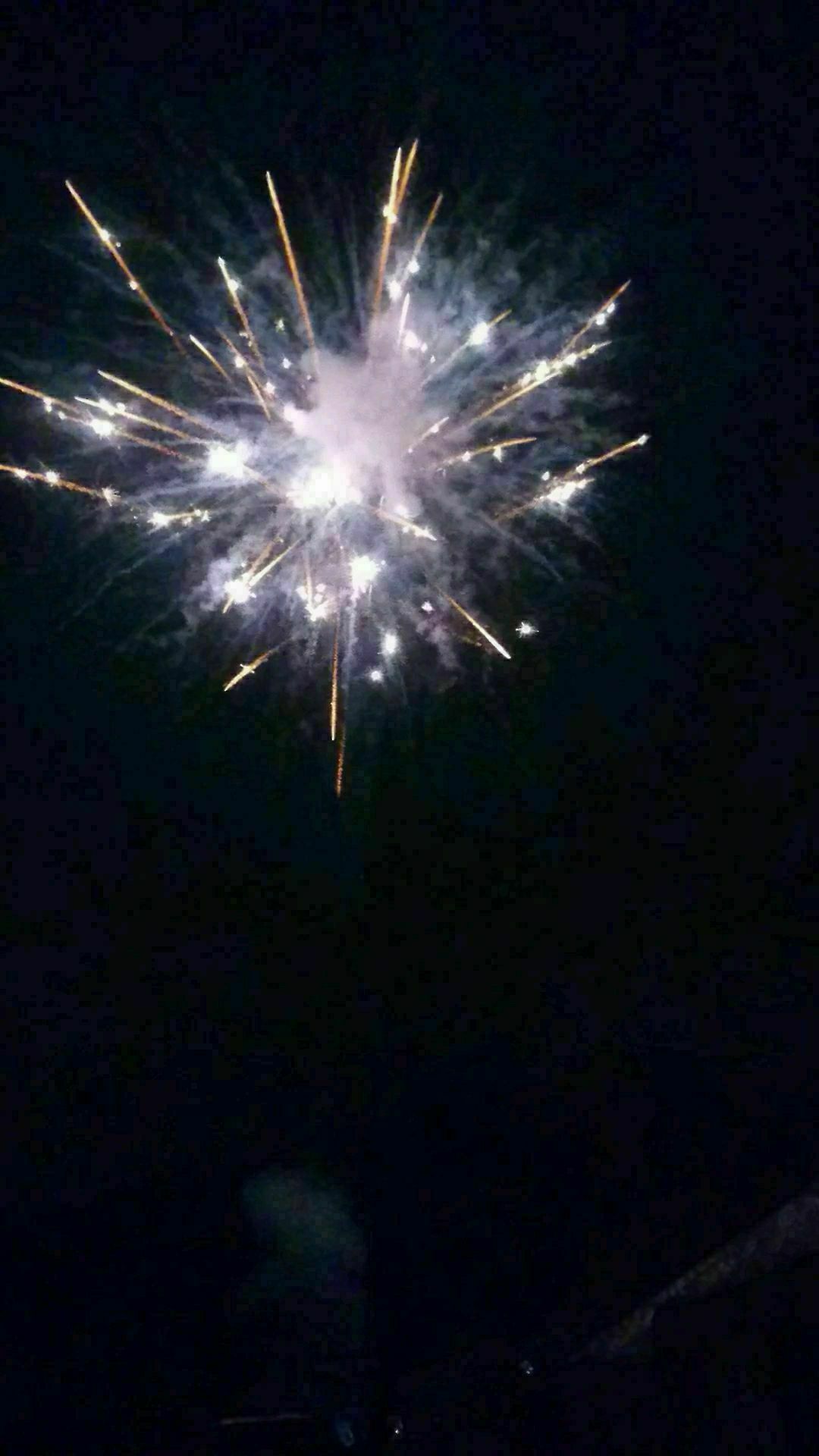 投稿動画サムネイル