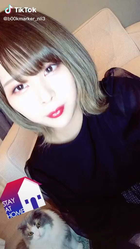 投稿動画サムネイル