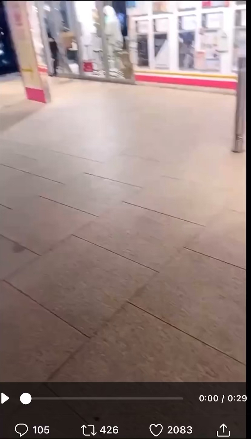 投稿動画サムネイル