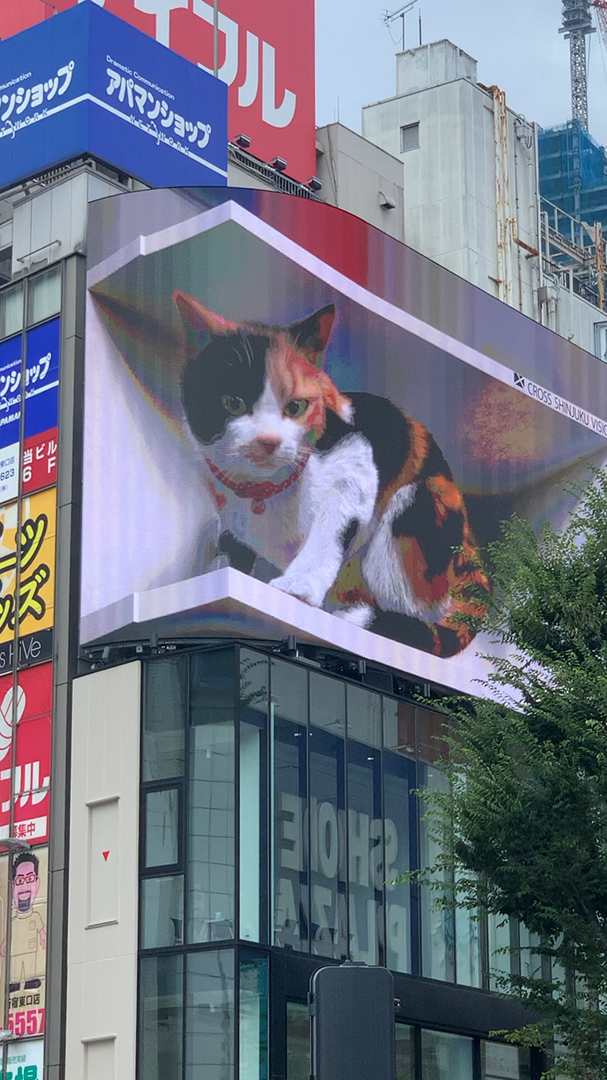 投稿動画サムネイル