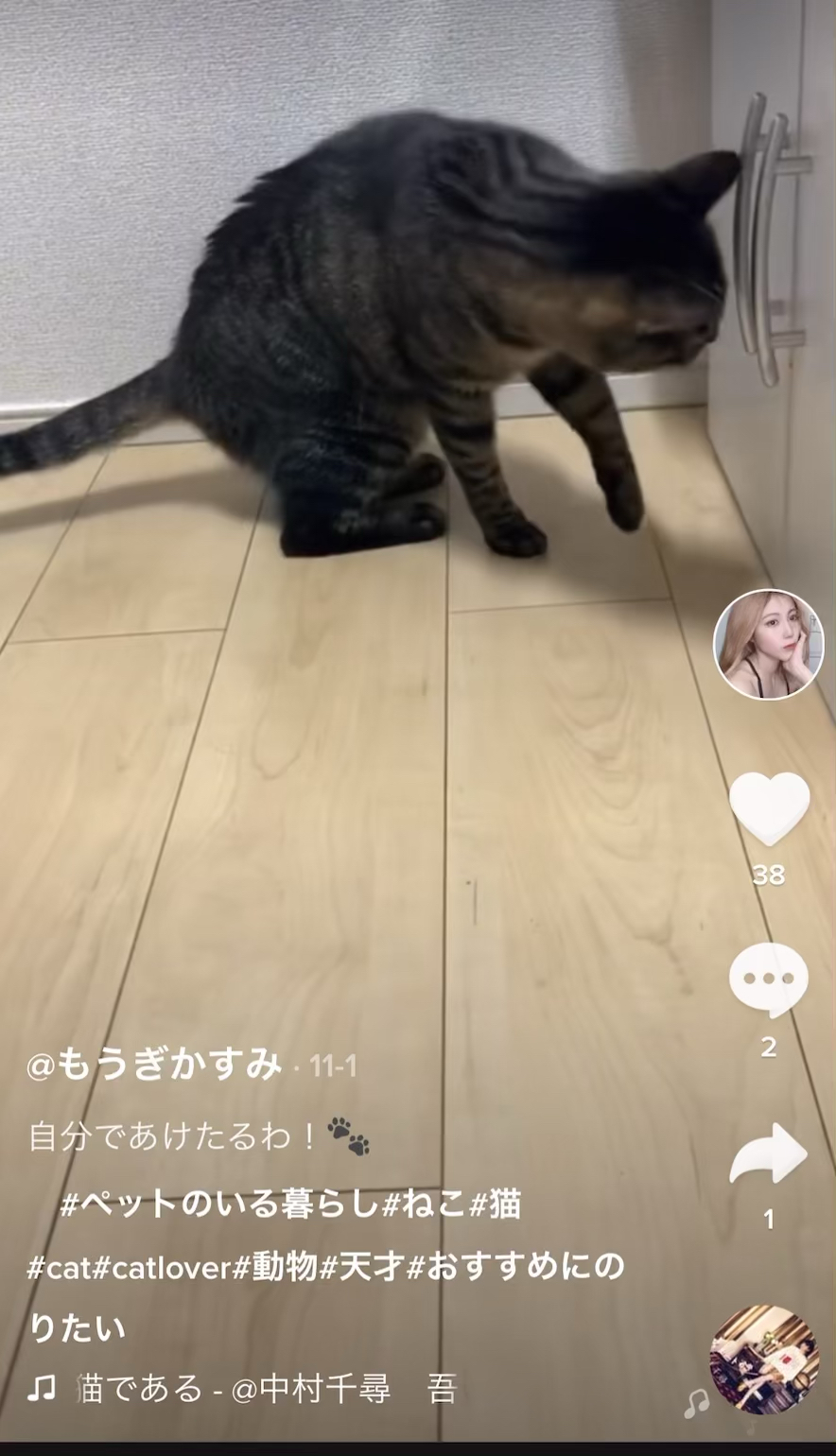 投稿動画サムネイル