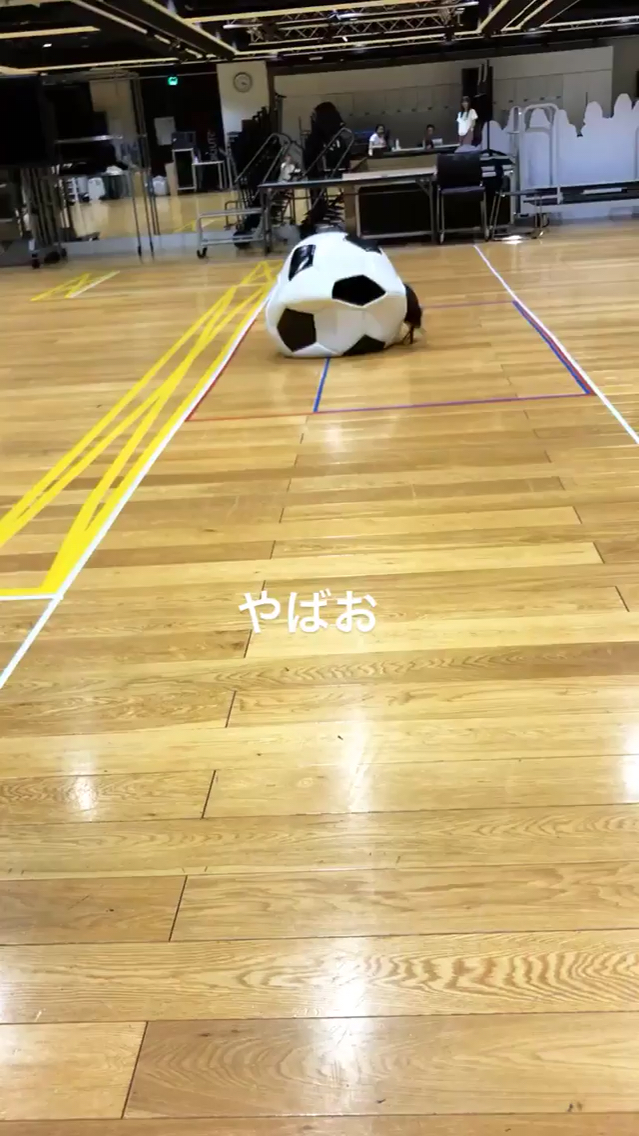 投稿動画サムネイル