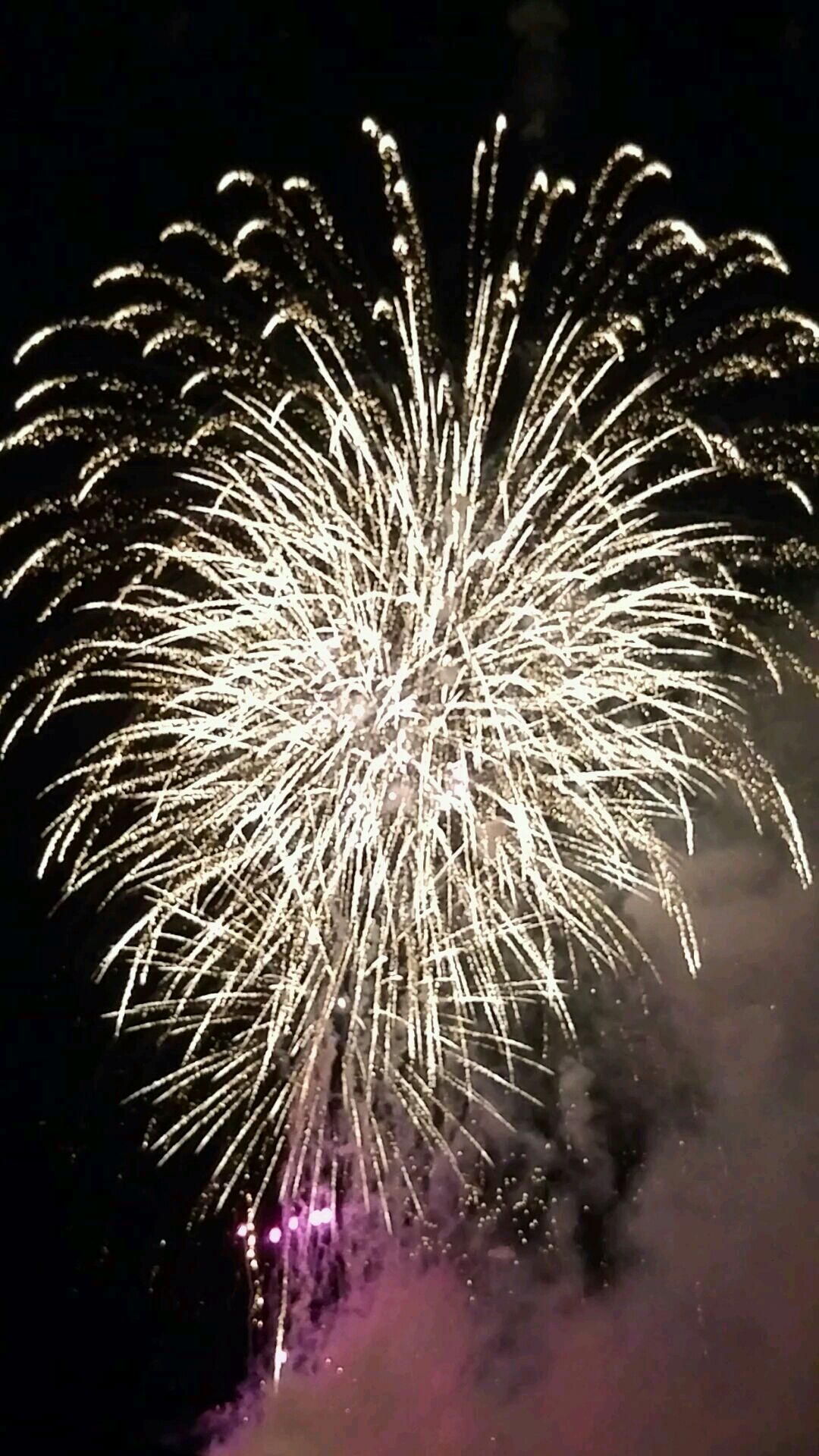 投稿動画サムネイル