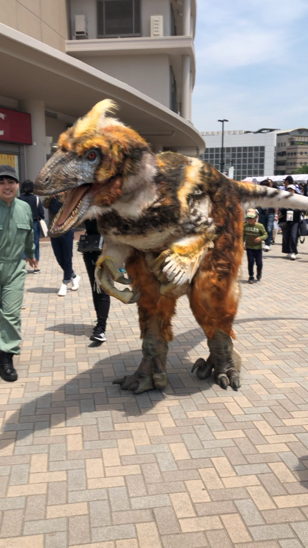 投稿動画サムネイル