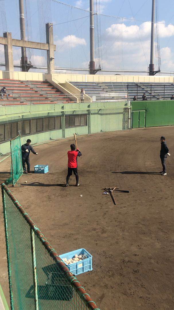 投稿動画サムネイル